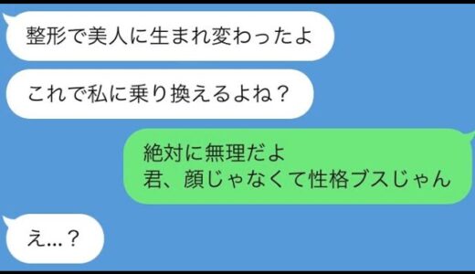 【LINE】略奪するために美容整形した女の末路www