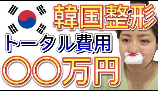 【韓国 整形】全部で◯○万円！！カウンセリングから整形！渡韓費用全部教えます！