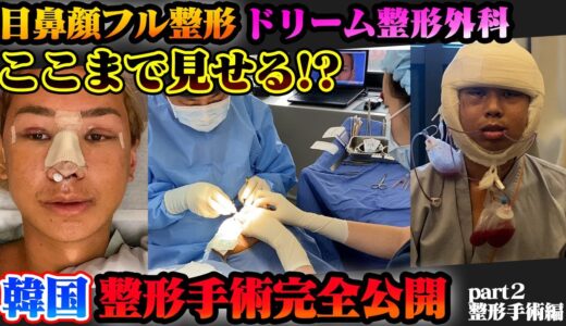 【韓国 整形完全保存版】目 鼻 輪郭 骨削りフル整形 ２７年間の悩みを決意 整形を考えてる方は絶対見て Part2