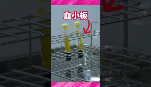 【美容整形】自分の血液を使う施術！何に効果がある？ #shorts