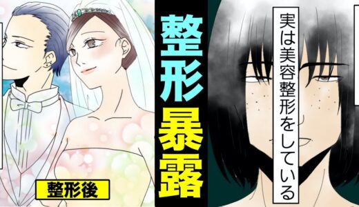 【漫画】彼女に美容整形を暴露されたらどうなるのか？→２０回の整形を暴露された男の末路・・・(マンガ動画）