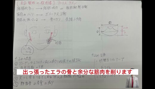 【美容整形の教科書】14