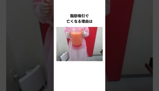 【美容整形の豆知識】#shortvideo #shorts #ショート#豆知識#雑学#日常#美容#美容整形#韓国#二重整形#脂肪吸引